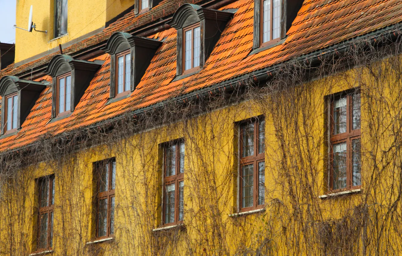 Фото обои windows, house, park, building