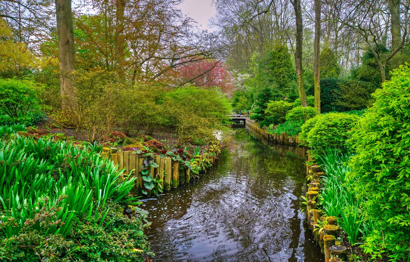Фото обои зелень, деревья, пруд, парк, Нидерланды, мостик, кусты, Keukenhof