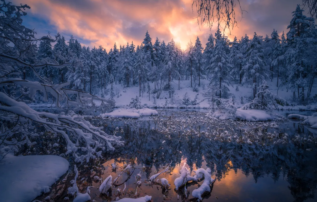 Фото обои зима, снег, природа, река