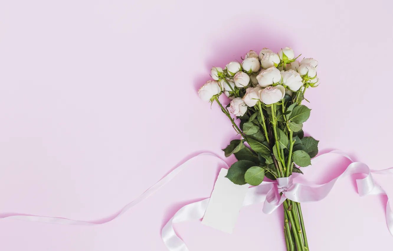 Фото обои фон, розовый, розы, букет, лента, pink, roses, bouguet