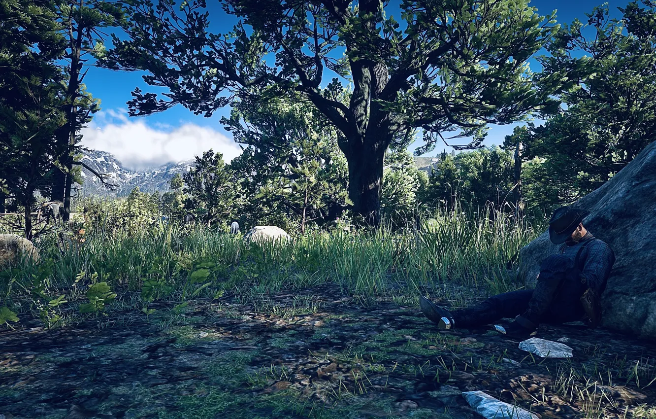 hdr-game-uhd-red-dead-redemption-2-xbox-one-x-rdr2
