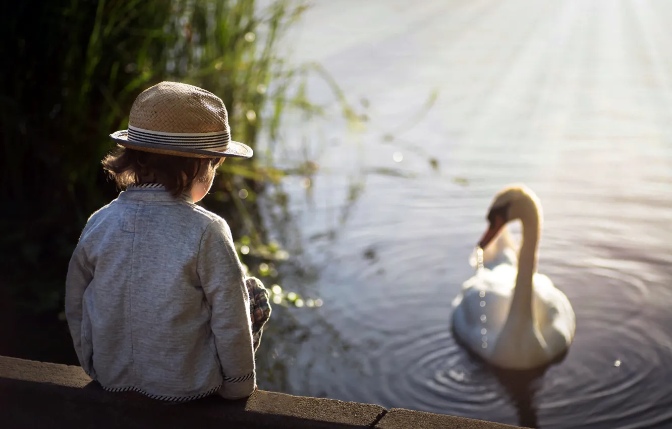 Фото обои озеро, мальчик, лебедь