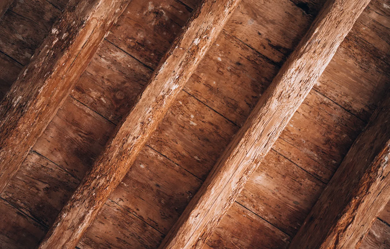Фото обои wood, beam, ceiling