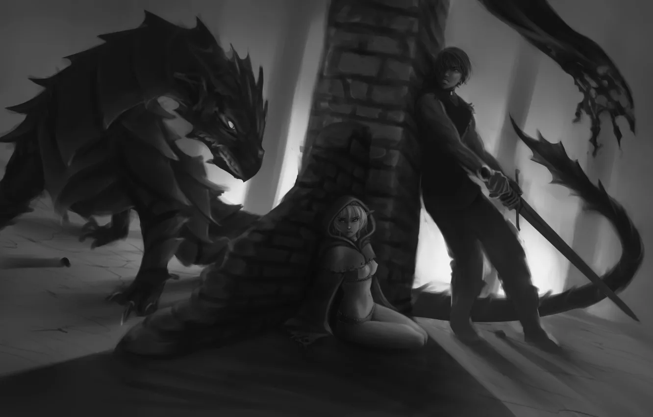 Фото обои девушка, страх, дракон, эльф, меч, арт, черно-белое, парень