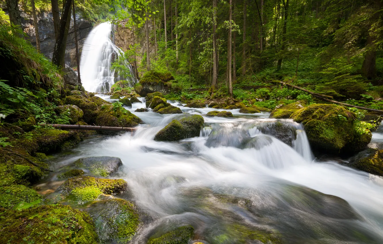 Фото обои лес, деревья, река, камни, водопад, Germany, Berchtesgaden