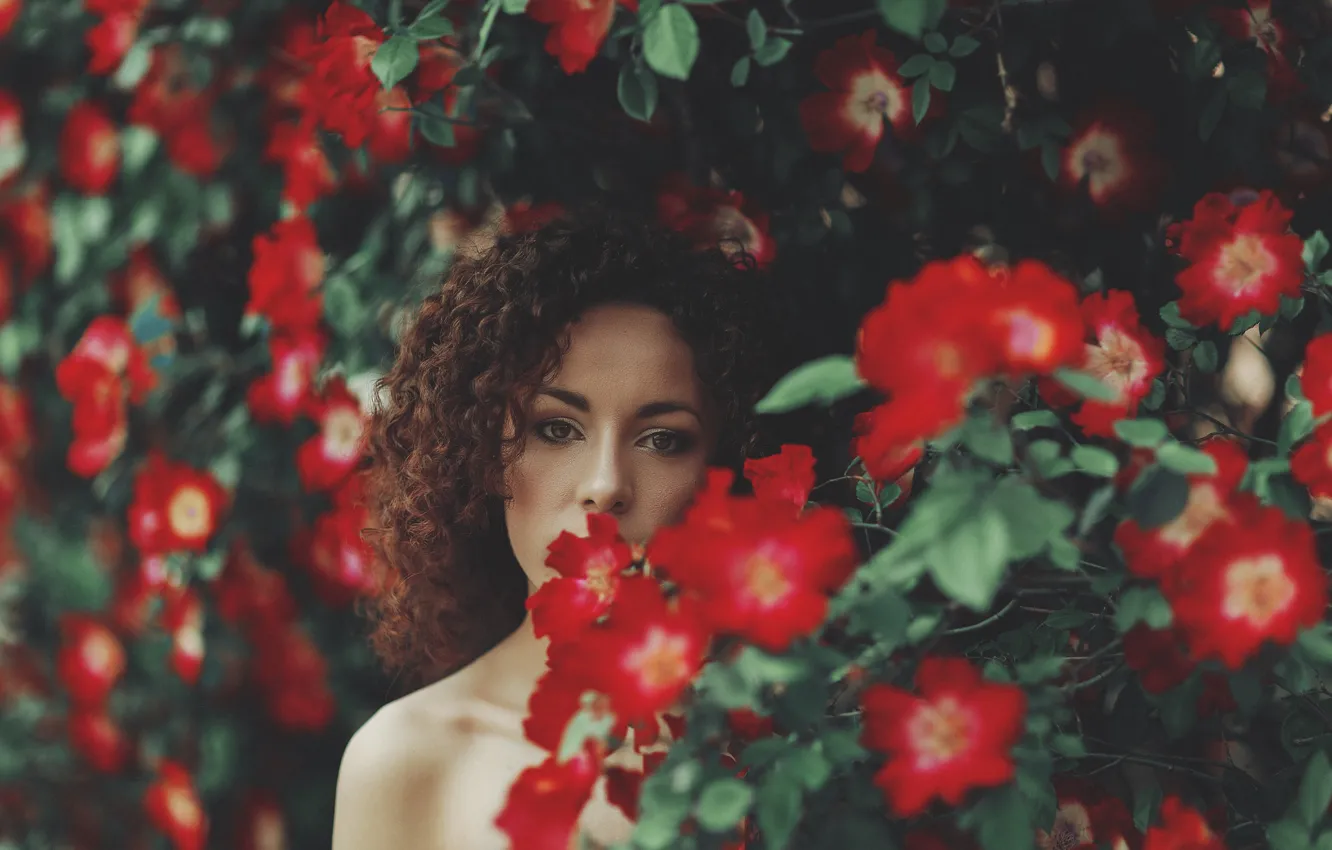 Фото обои взгляд, девушка, цветы, лицо, волосы