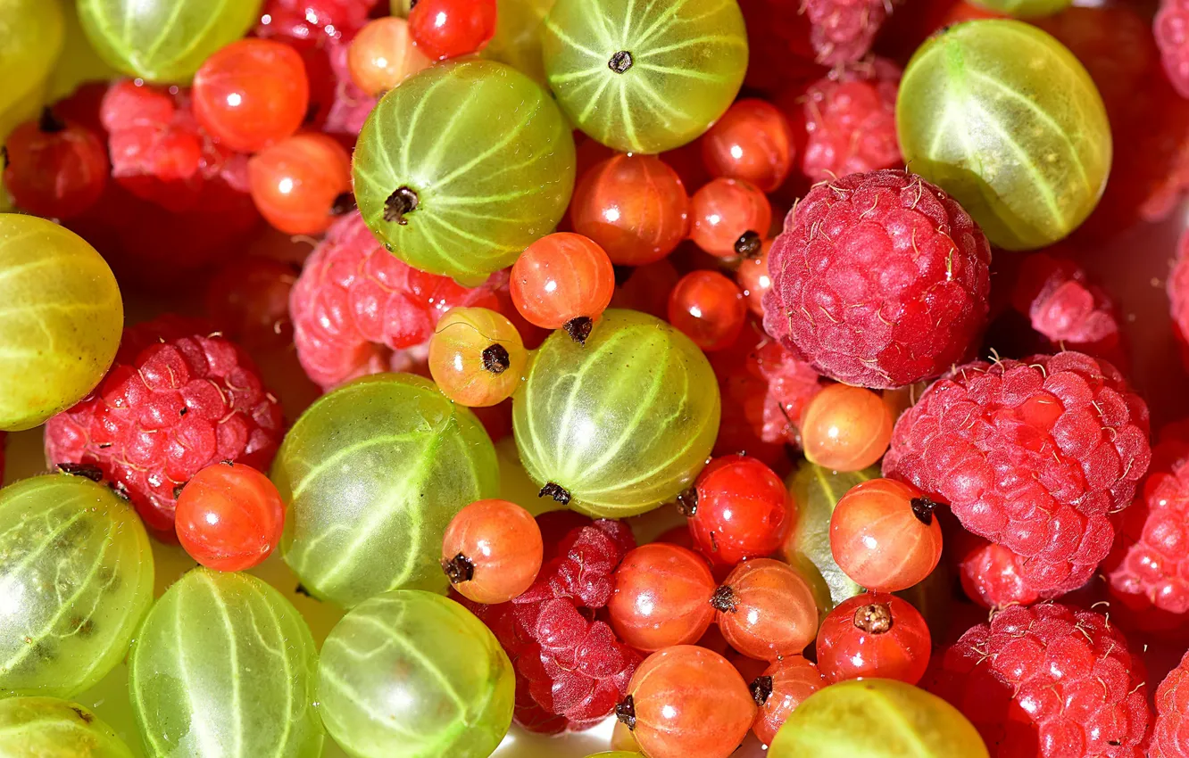 Фото обои ягоды, малина, смородина, крыжовник