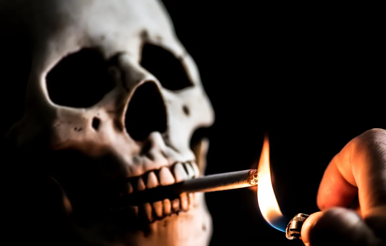 Фото обои череп, зажигалка, сигарета