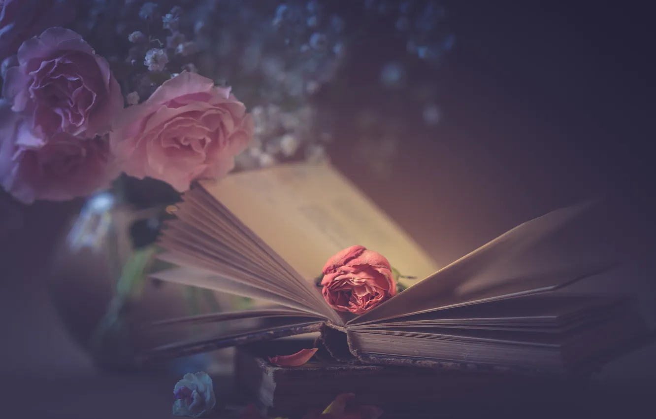 Фото обои стиль, розы, лепестки, книга, розовые