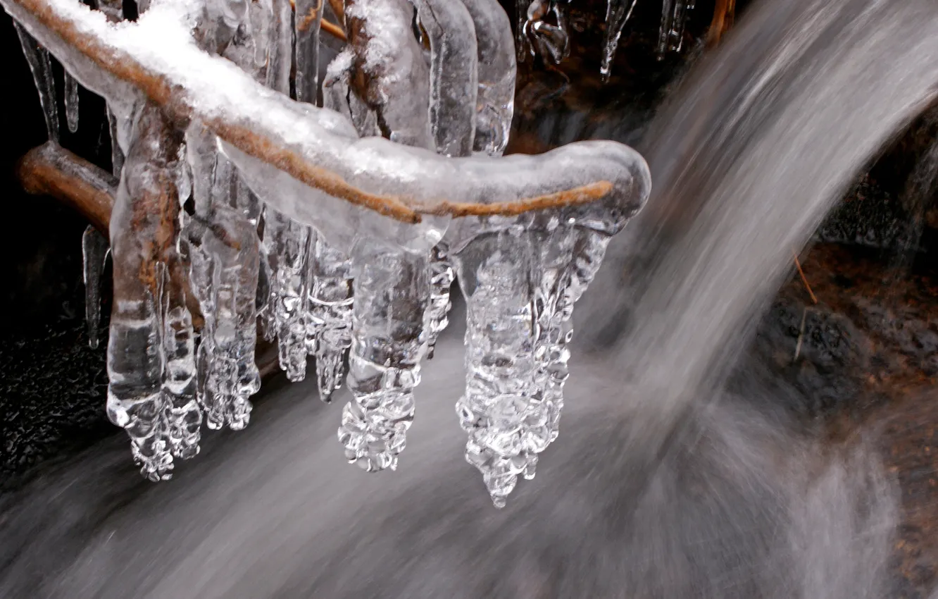 Фото обои зима, вода, ручей, лёд, ветка, сосульки