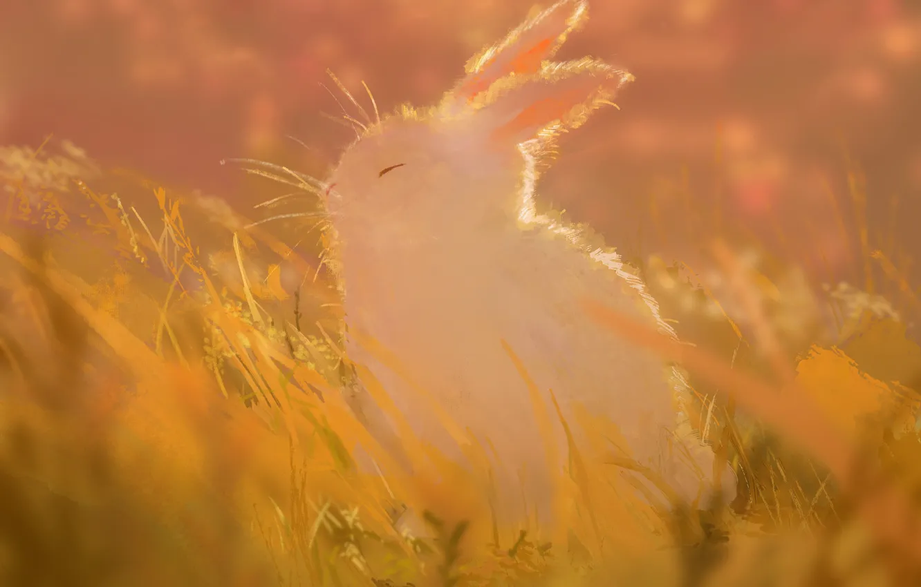 Фото обои трава, природа, кролик, боке