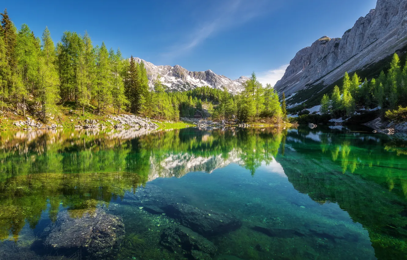 Фото обои лес, деревья, горы, озеро, отражение, Словения, Slovenia, Юлийские Альпы