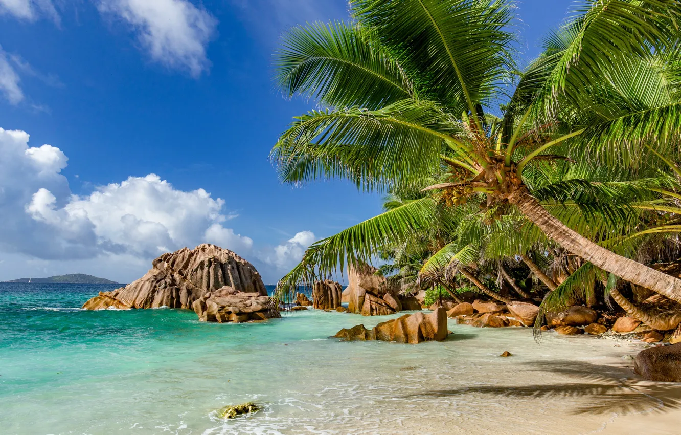 Фото обои Сейшелы, beach, sky, sea, clouds, rocks, sand, palms