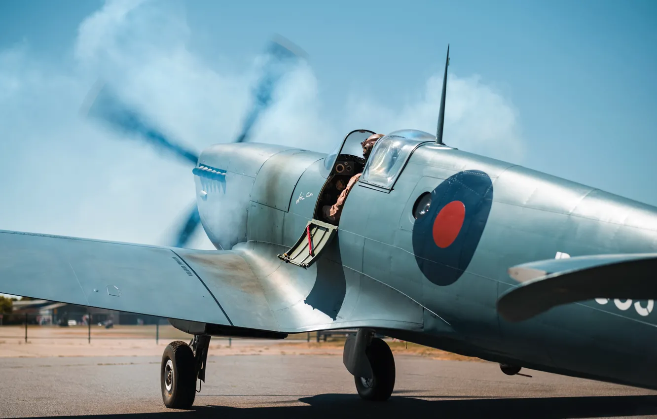 Фото обои Истребитель, Spitfire, Пилот, RAF, Вторая Мировая Война, Крыло, Supermarine Seafire, Шасси