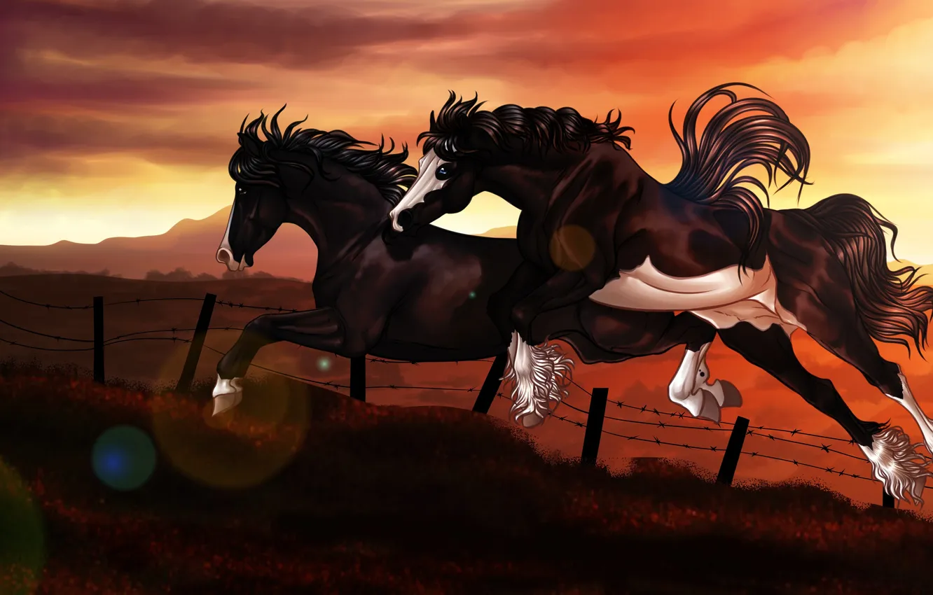 Фото обои закат, прыжок, забор, кони, арт, колючая проволка