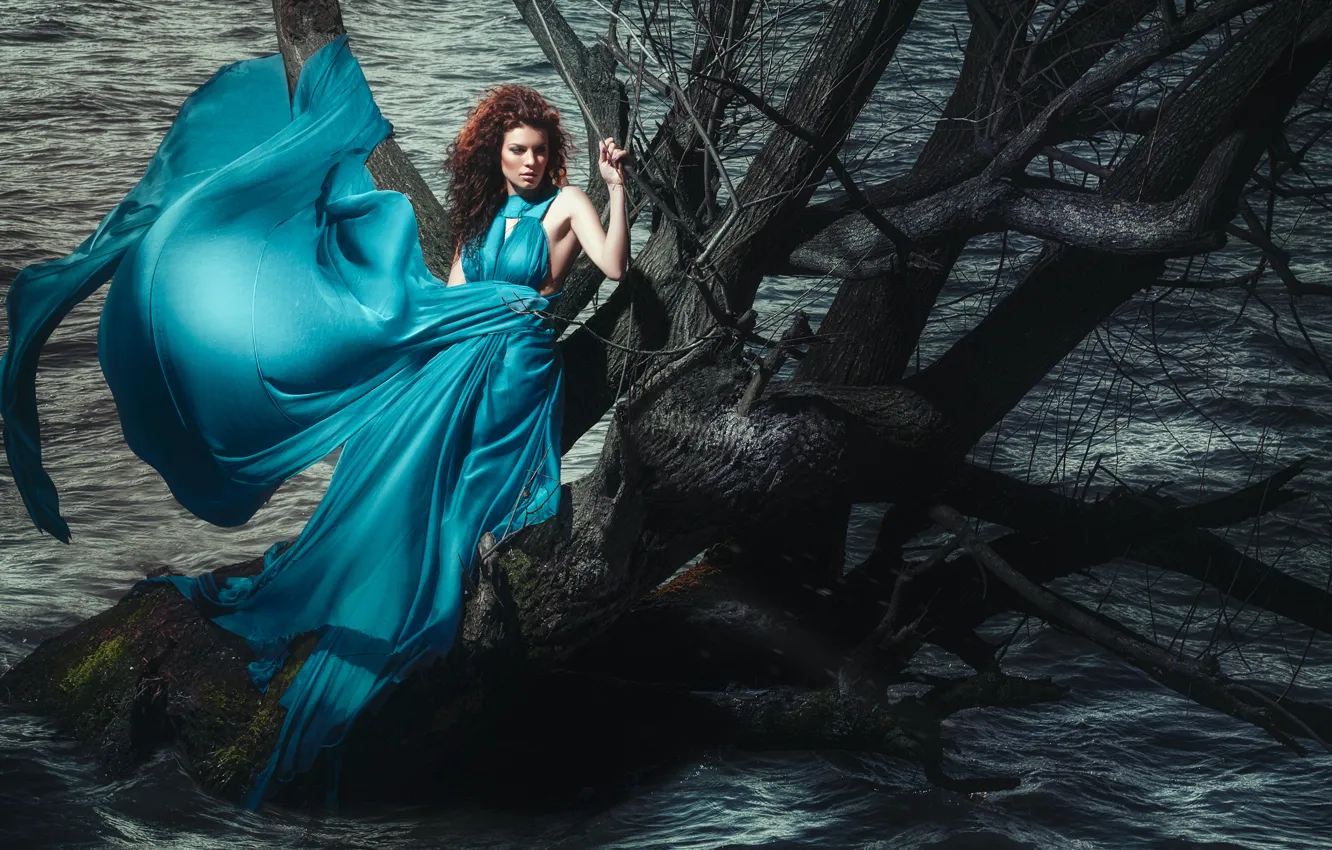 Фото обои вода, девушка, дерево, вечер, платье, шатенка, Daniel Ilinca
