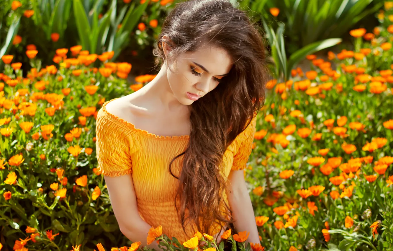 Фото обои девушка, цветы, красота, длинные волосы