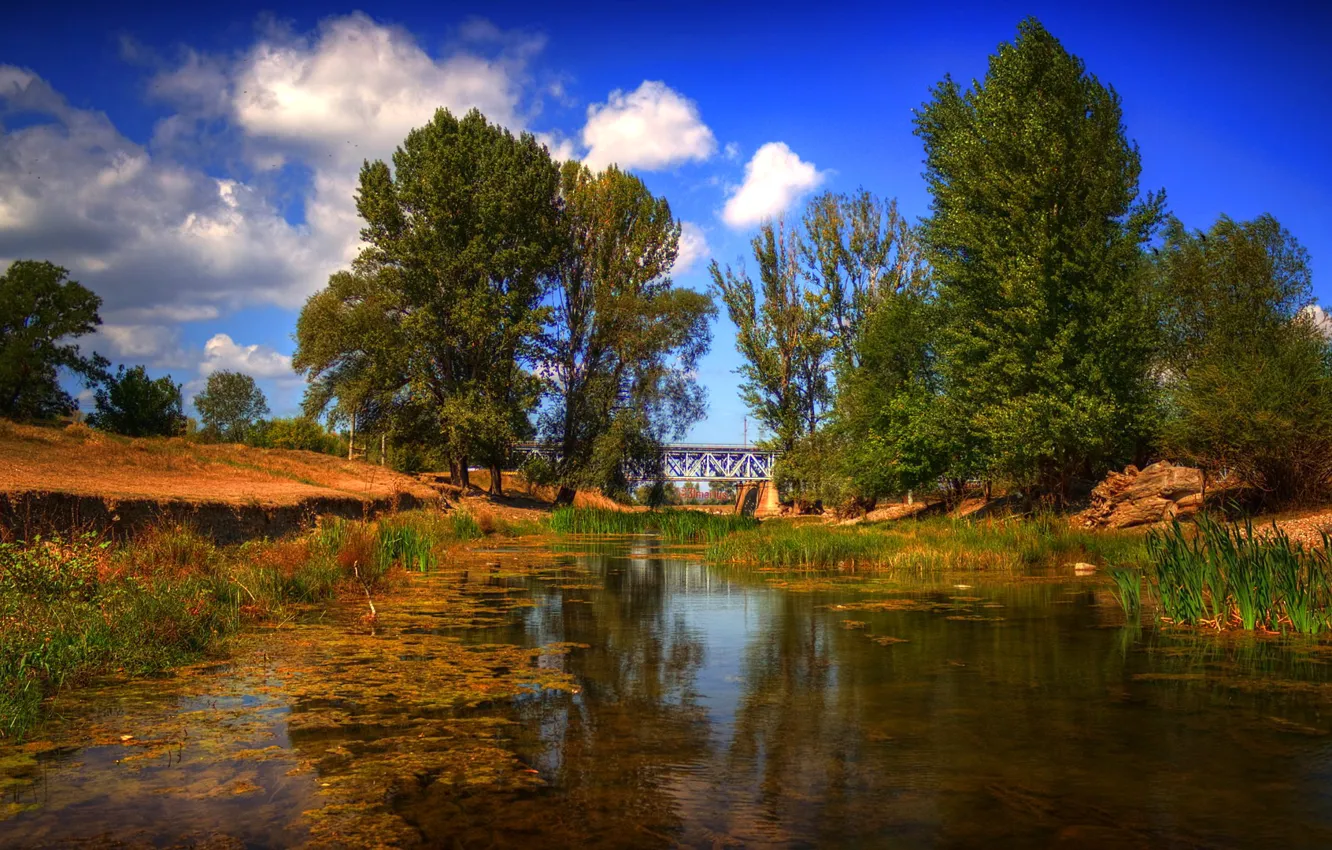 Фото обои небо, облака, деревья, мост, река