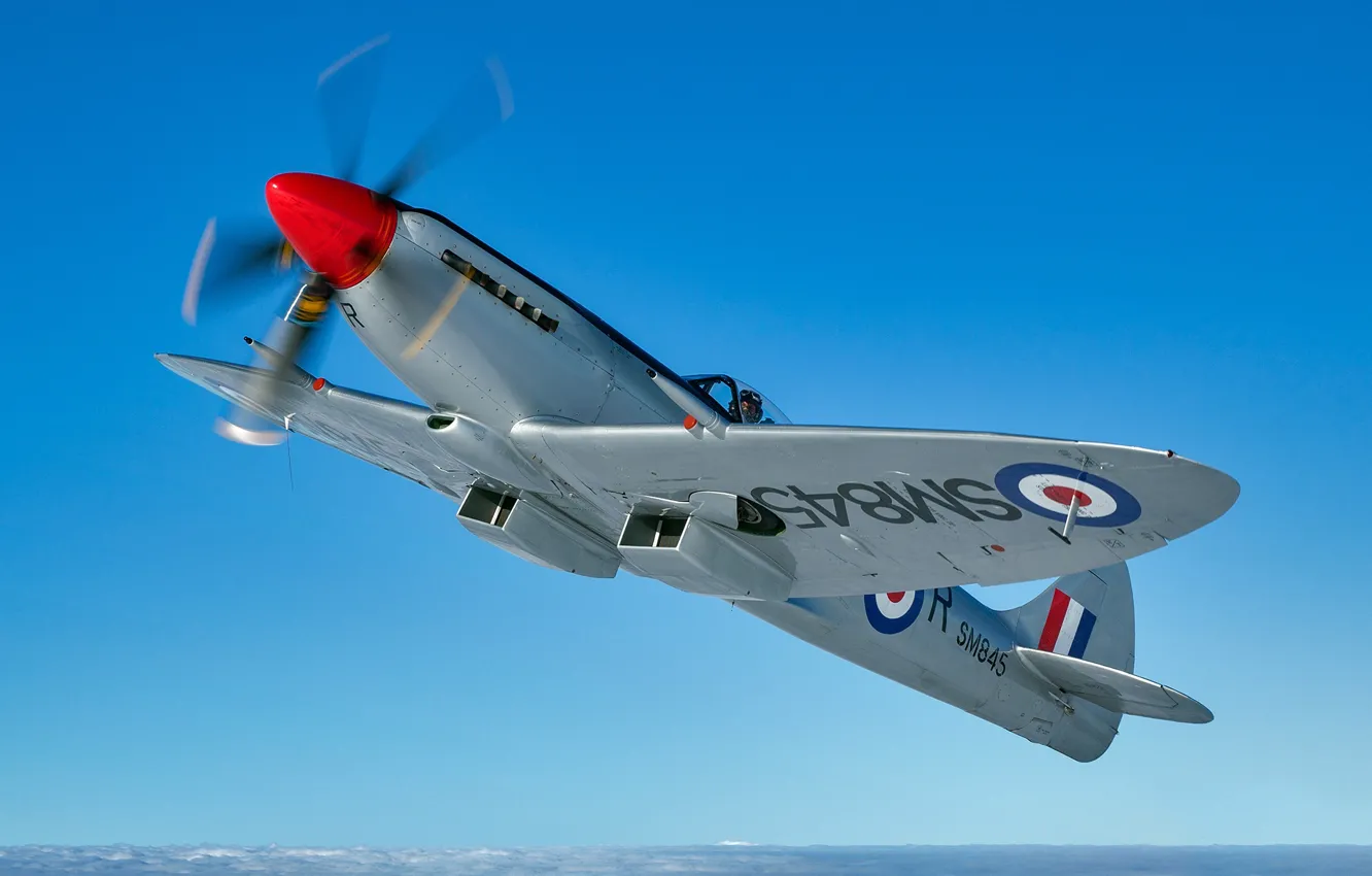 Фото обои Винт, Истребитель, Spitfire, Supermarine Spitfire, RAF, Вторая Мировая Война, Supermarine Spitfire FR XVIII