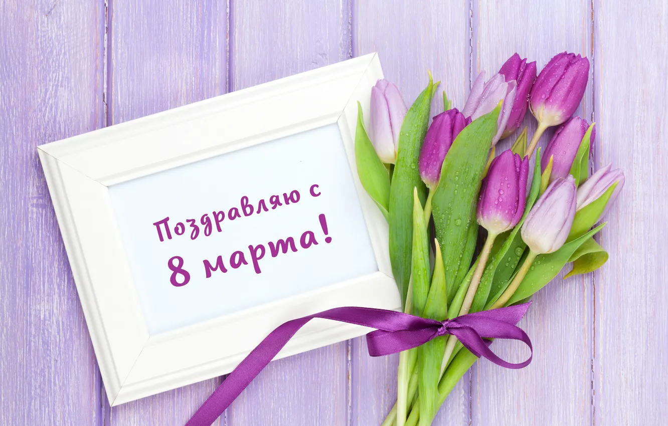 Фото обои цветы, букет, тюльпаны, 8 марта, flowers, tulips, spring, purple