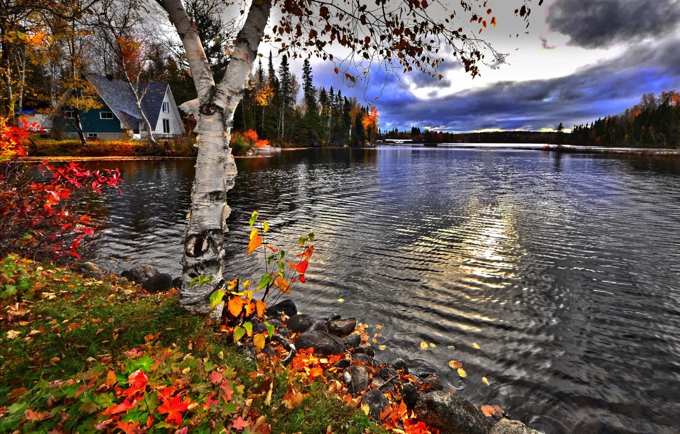 Фото обои осень, лес, пейзаж, тучи, природа, озеро, дом, камни