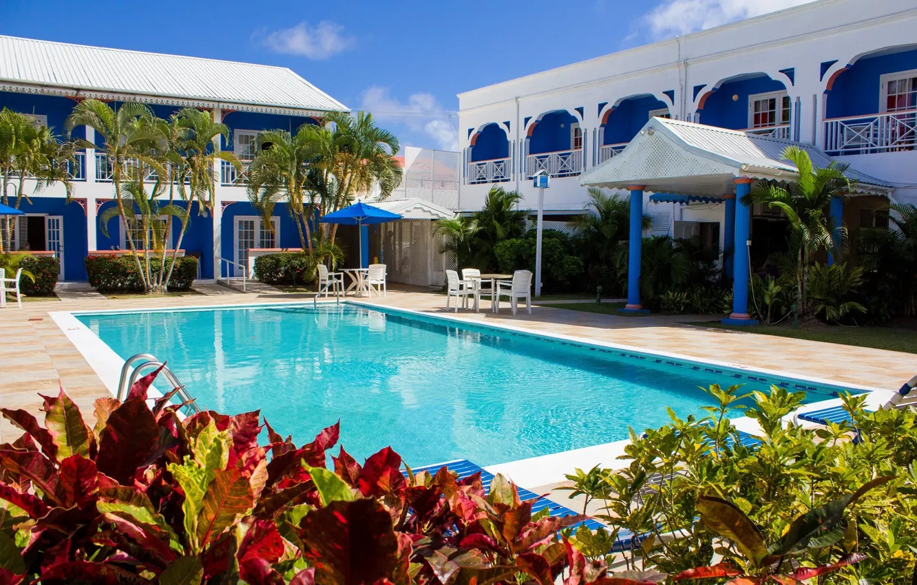 Фото обои пальмы, бассейн, отель, курорт