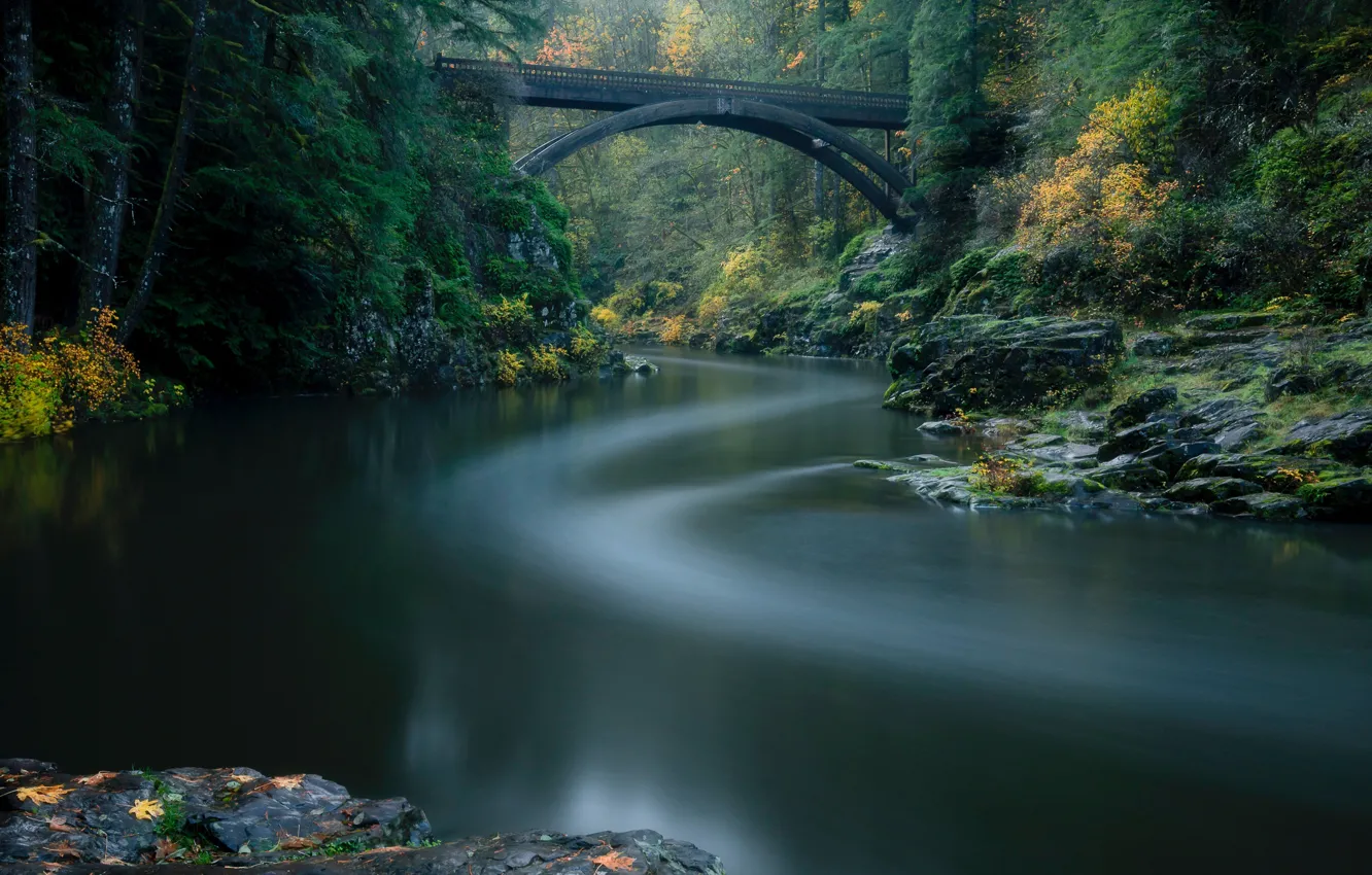 Фото обои осень, лес, мост, река, Lewis River, Washington State, Yacolt, Moulton Falls Regional Park