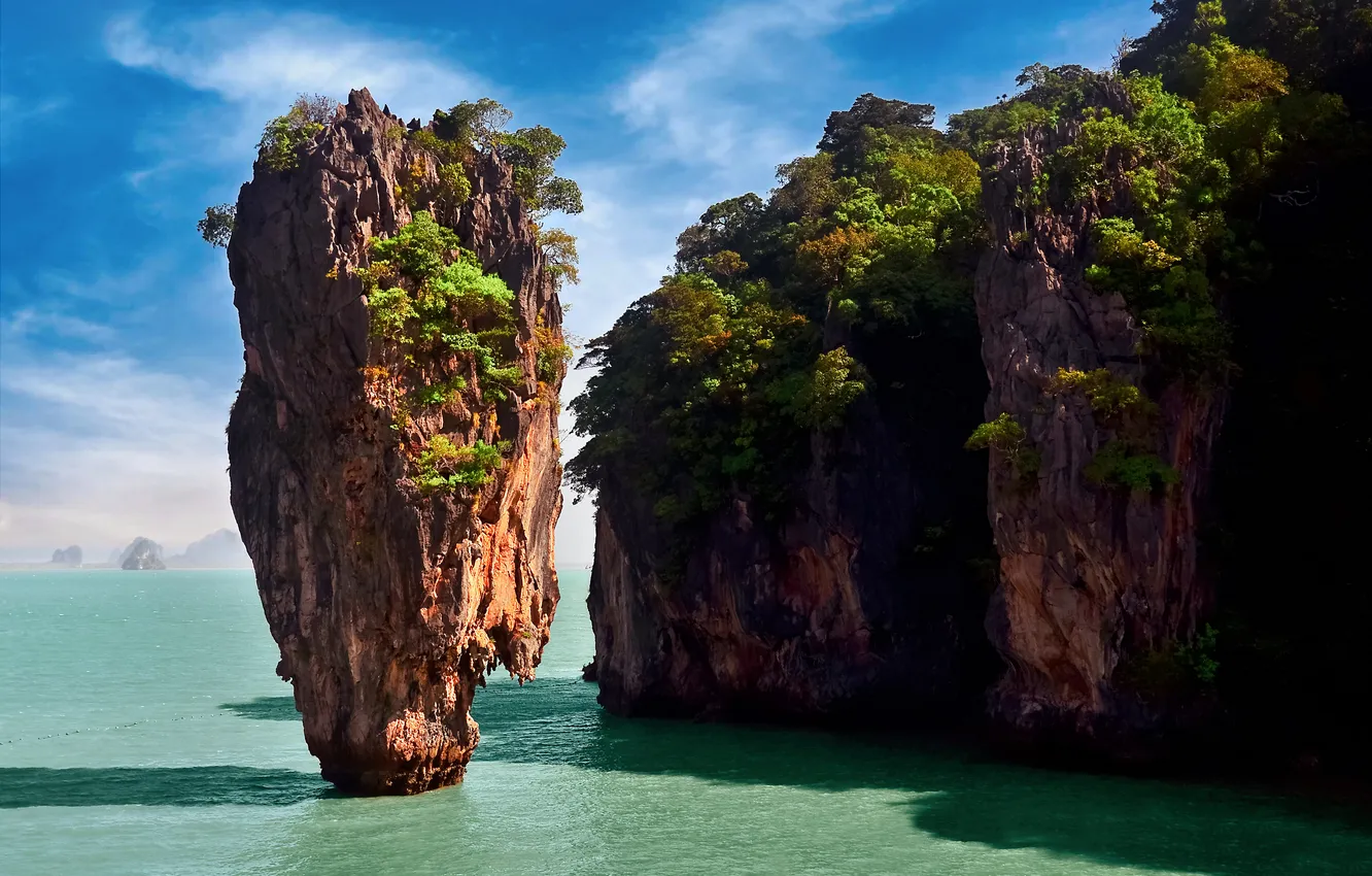 Фото обои beach, water, rocks, sand, plants