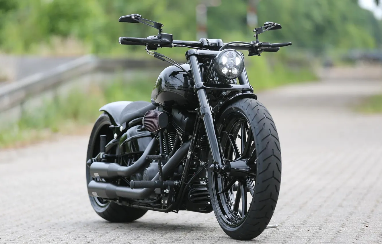 Фото обои Bike, Harley-Davidson, Custom, Thunderbike