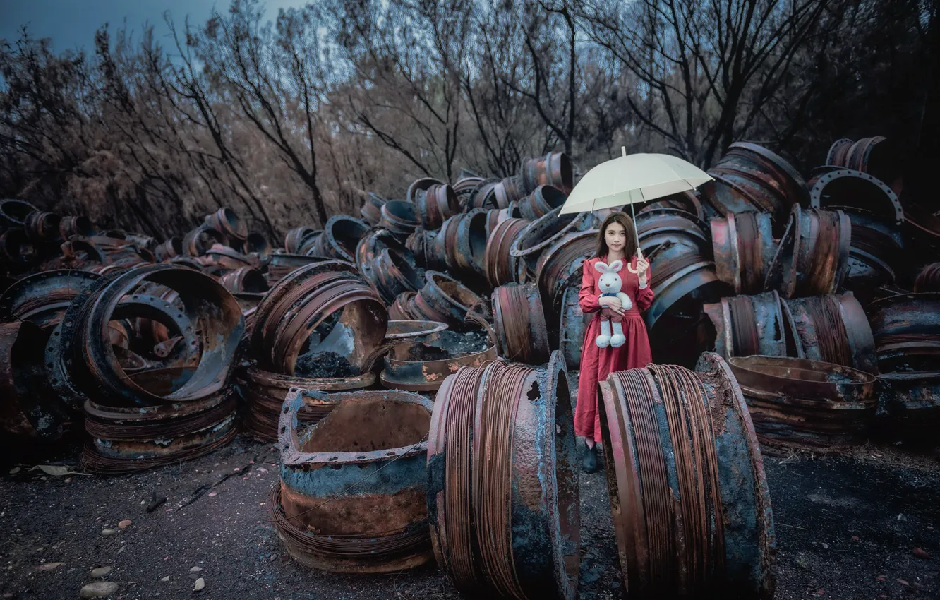 Фото обои девушка, зонт, мишка