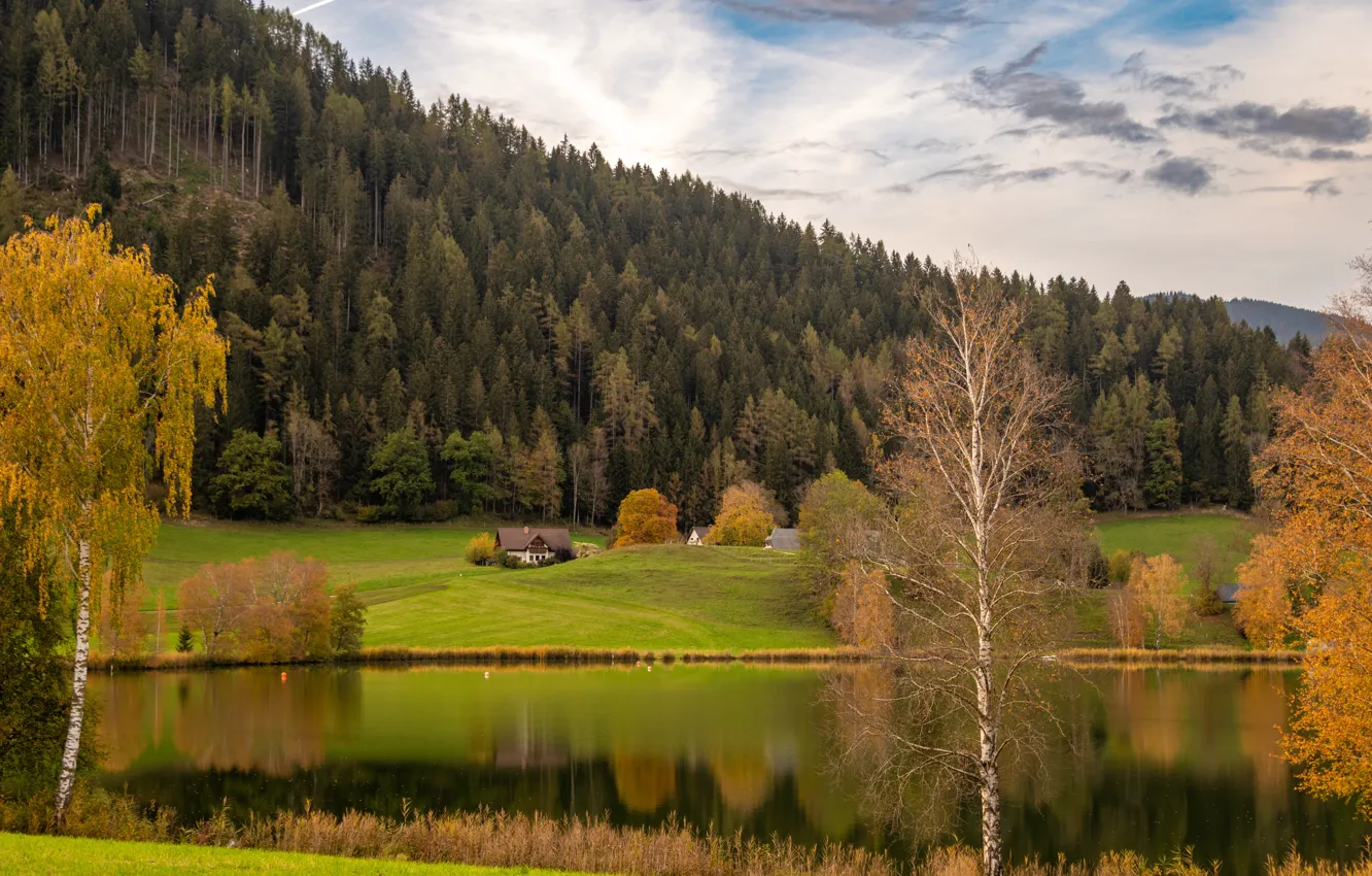 Фото обои поле, осень, лес, горы, домик