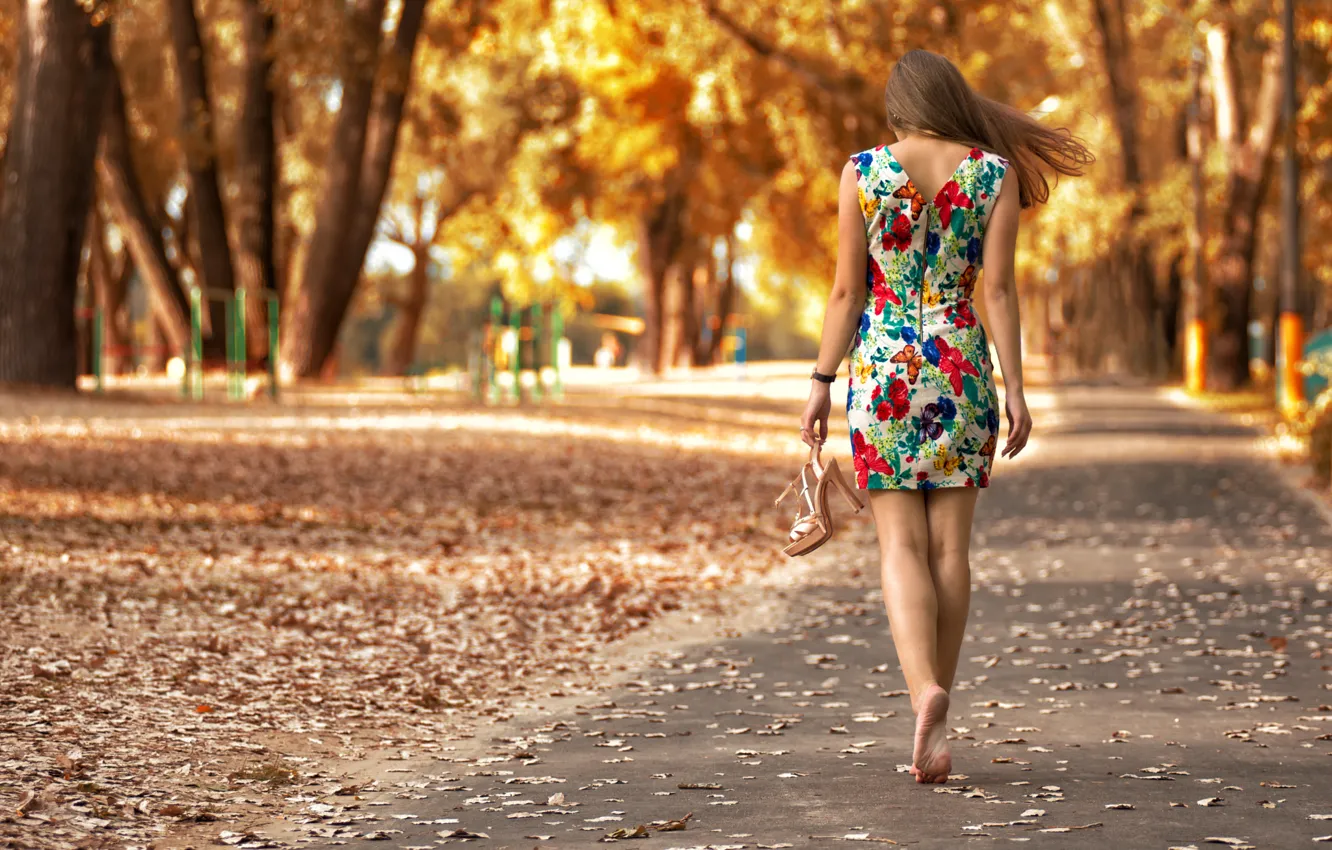 Фото обои осень, листья, девушка, парк, узоры, модель, портрет, платье