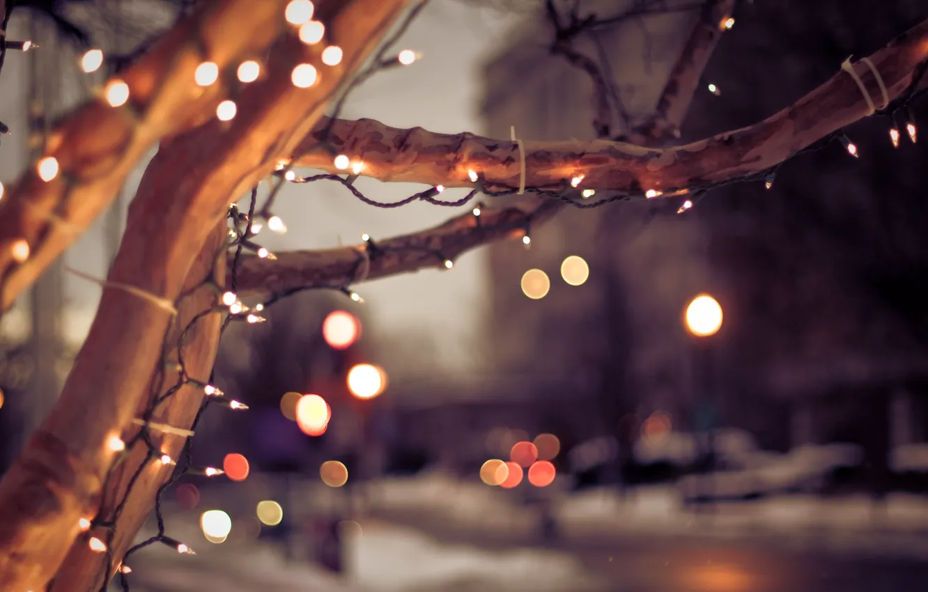 Фото обои зима, город, lights, дерево, настроение, Рождество, Christmas, лампочки