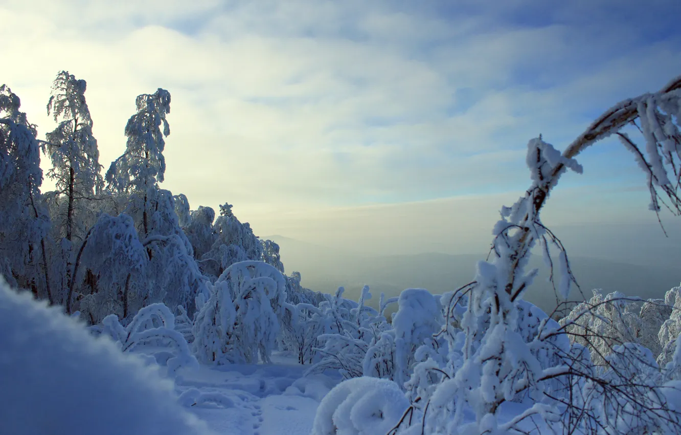Фото обои зима, горы, Лес, мороз, ветки в снегу