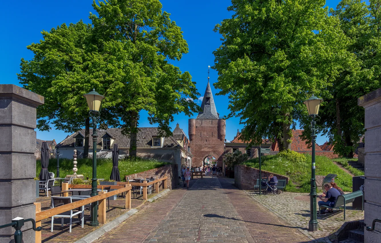 Фото обои деревья, Нидерланды, улочка, Elburg