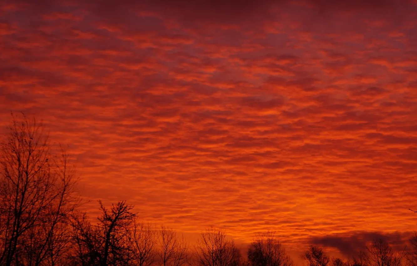 Фото обои red, sky, sunset, cloud