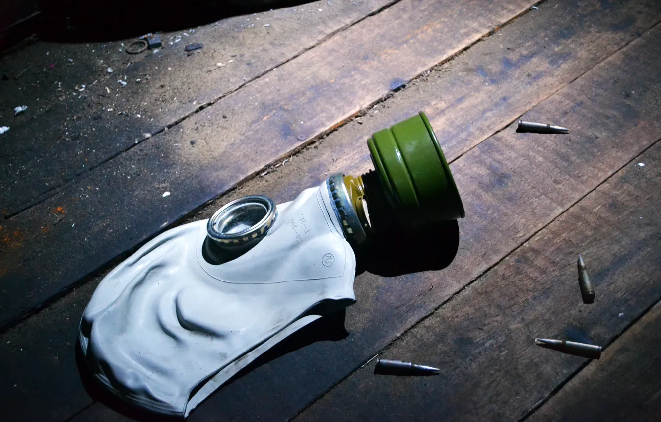 Фото обои деревья, противогаз, пули, Stalker, патроны, сталкер, фильтр, S.T.A.L.K.E.R.