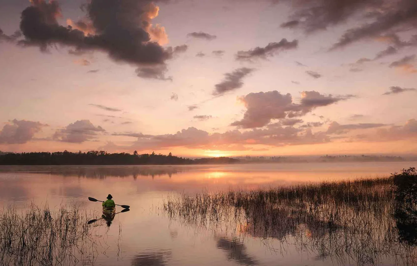 Фото обои лес, туман, река, утро