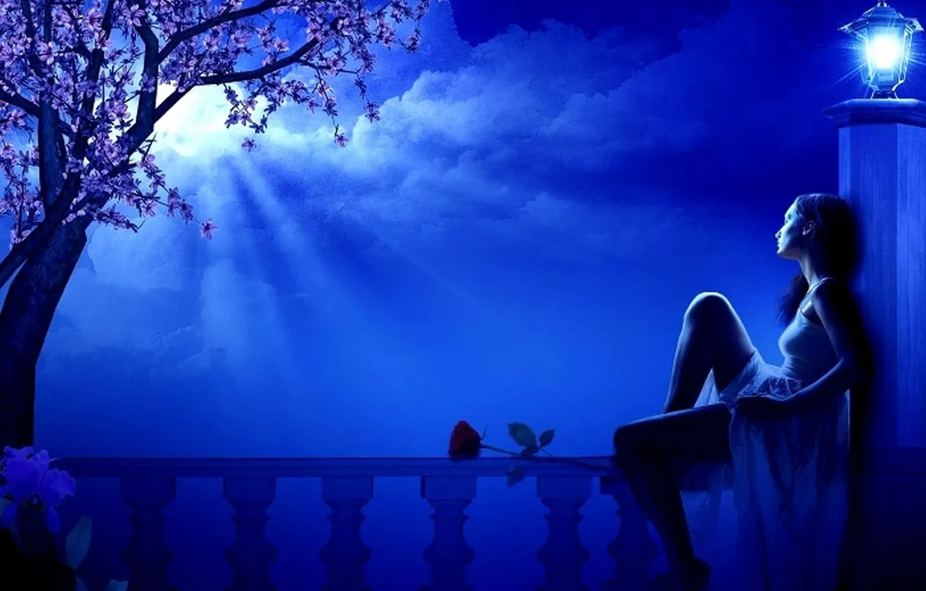Фото обои цветок, девушка, облака, ночь, дерево, луна, фонарь