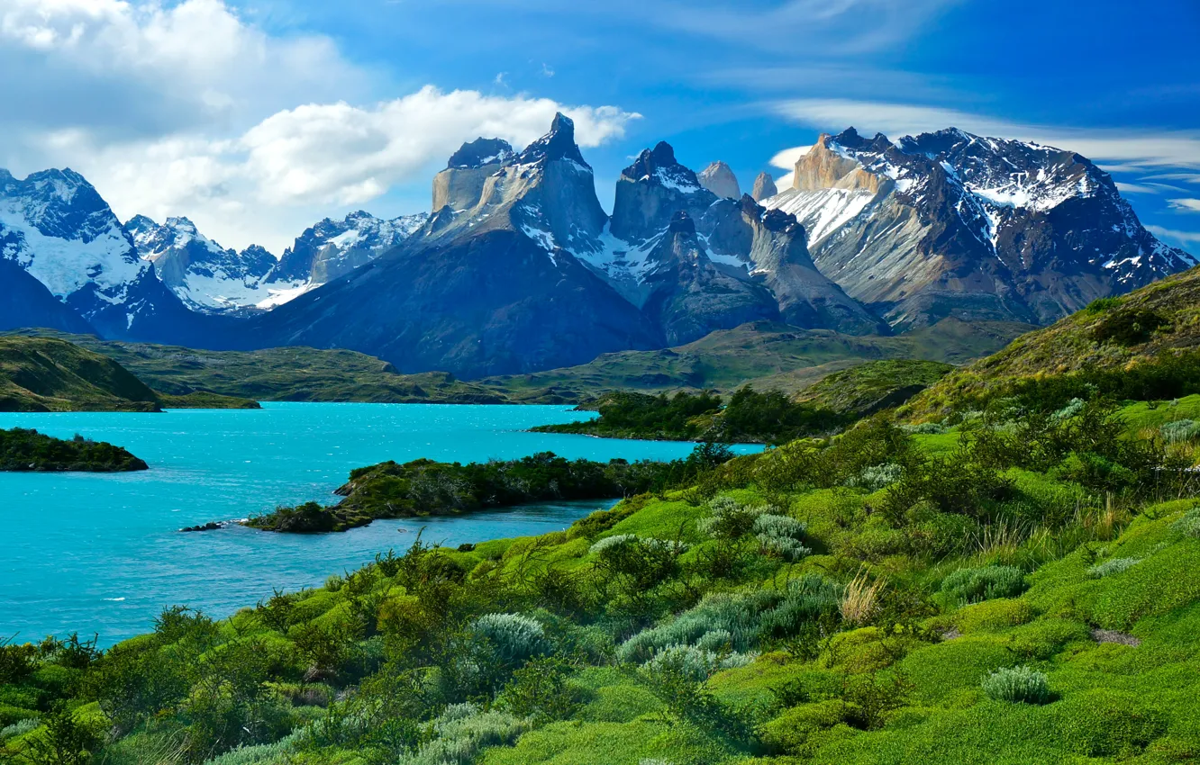 Фото обои трава, горы, озеро, берег, Чили, Patagonia, Pehoe Lake