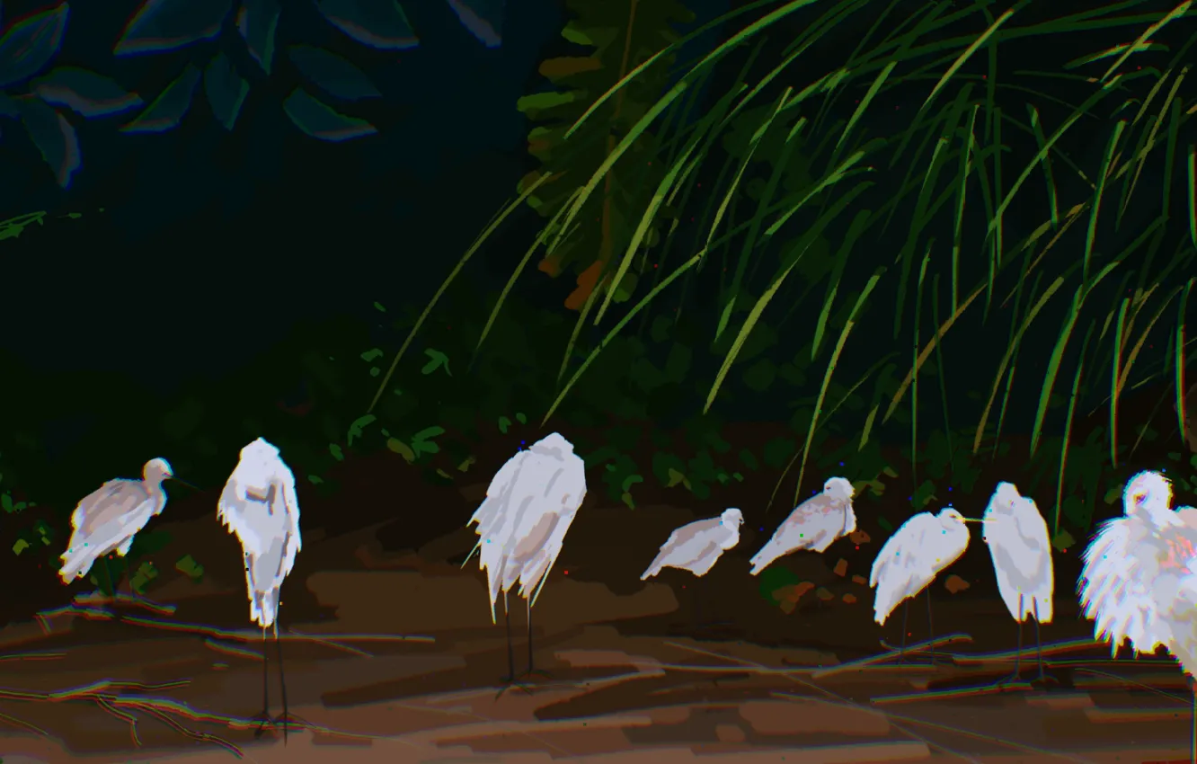 Фото обои природа, аист, Fangpeii