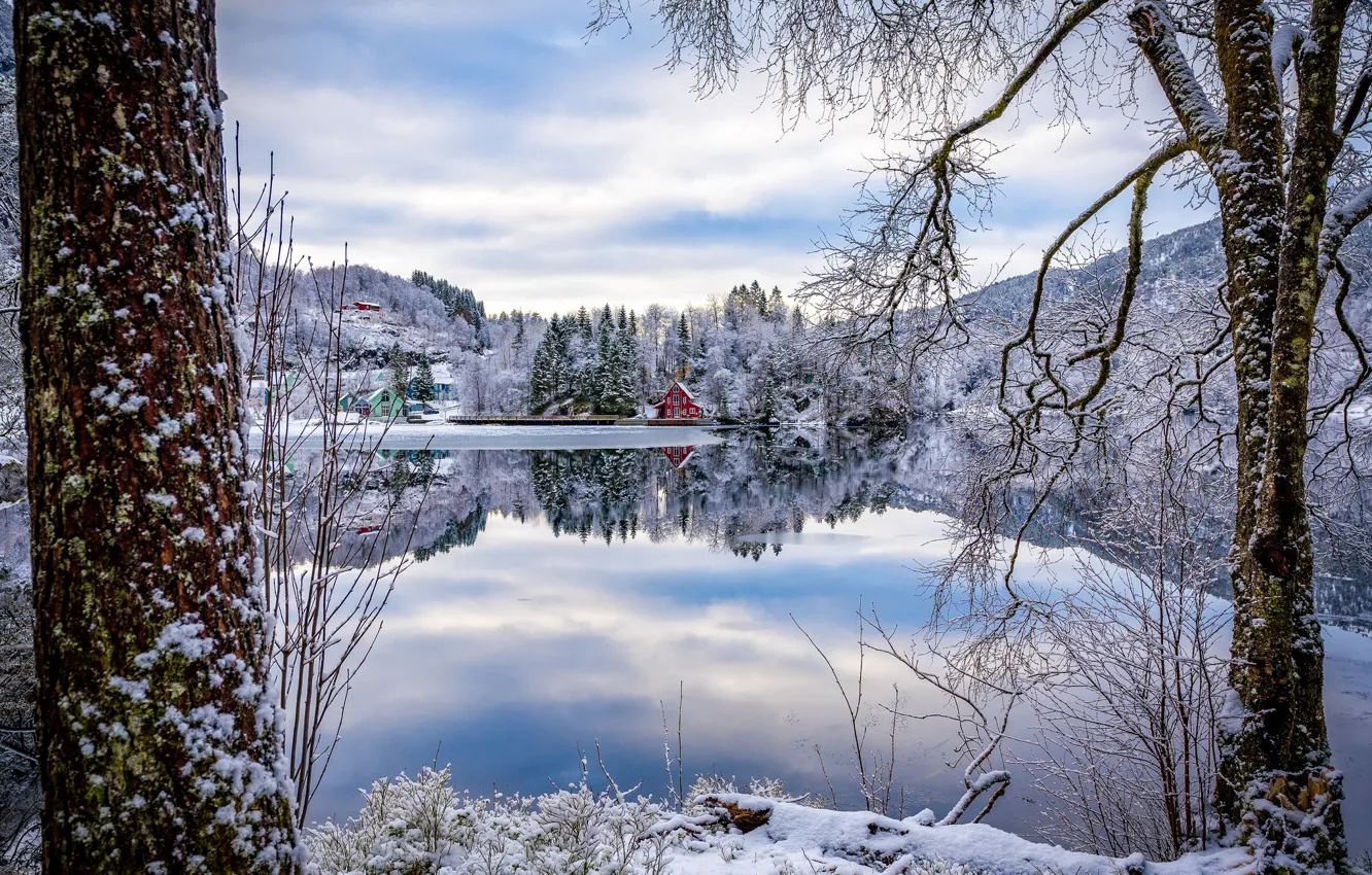 Фото обои зима, деревья, отражение, деревня, Норвегия, домики, Norway, фьорд
