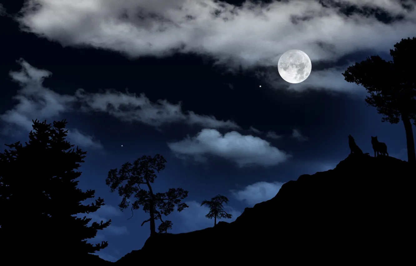 Фото обои небо, пейзаж, ночь, луна, звёзды, волки