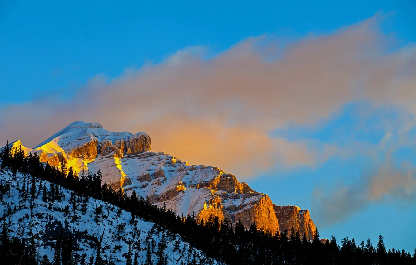 Фото обои зима, небо, снег, деревья, закат, скала, гора, склон