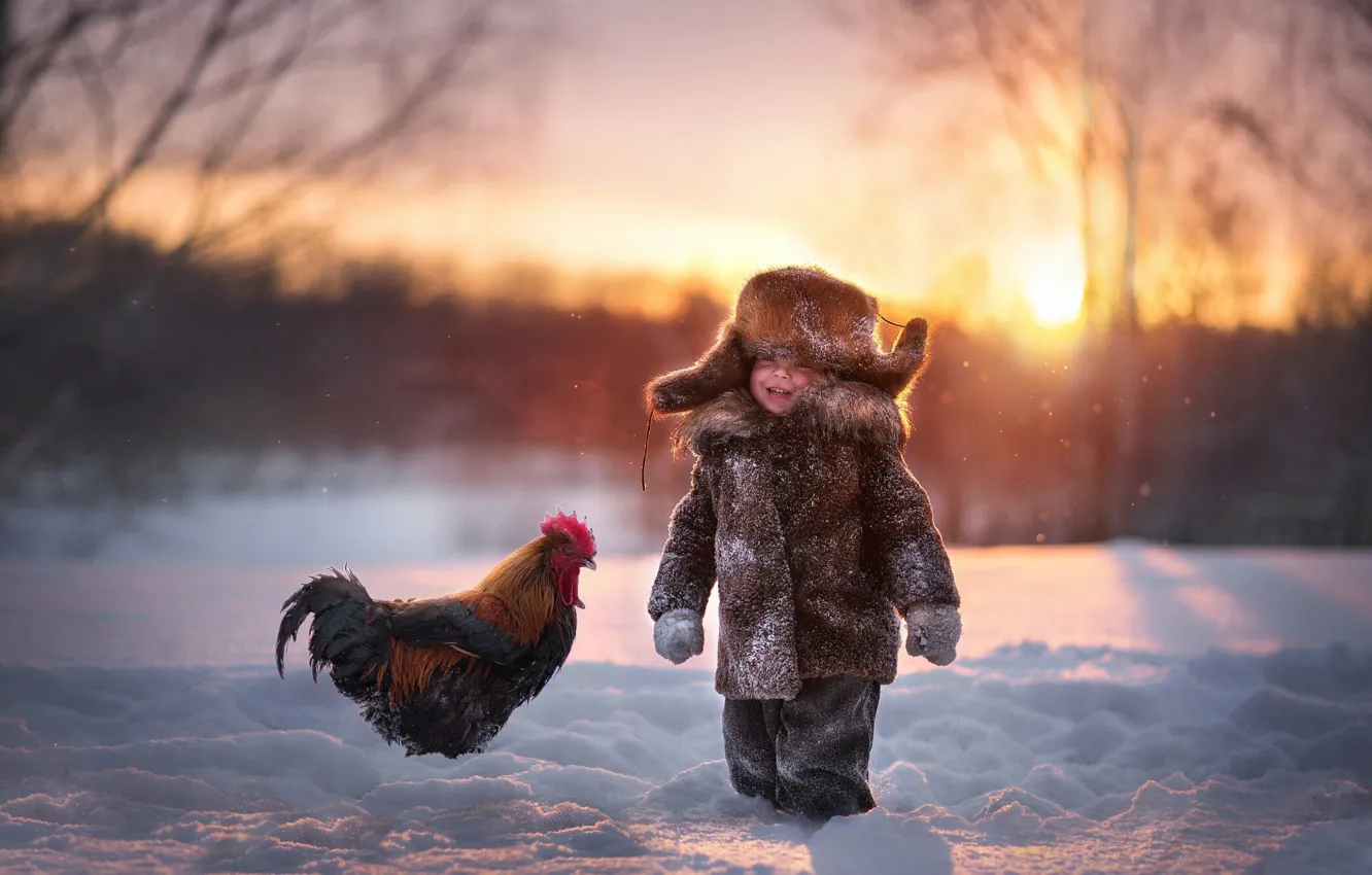Фото обои зима, снег, радость, шапка, мальчик, петух