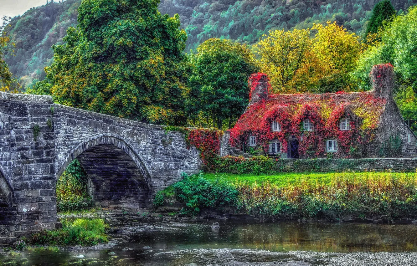 Фото обои деревья, мост, дом, река, Уэльс, Лланруст