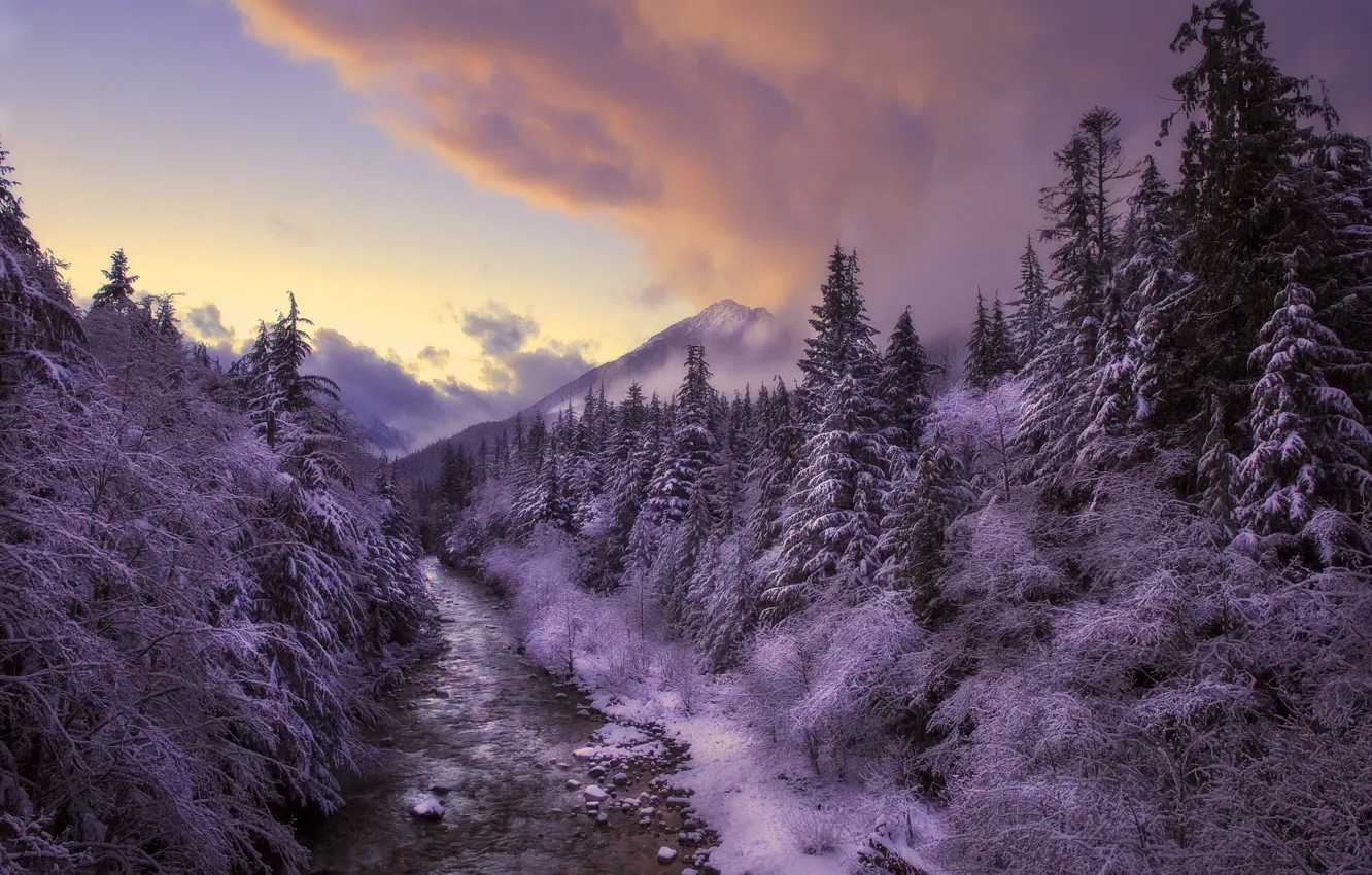 Фото обои зима, лес, закат, река