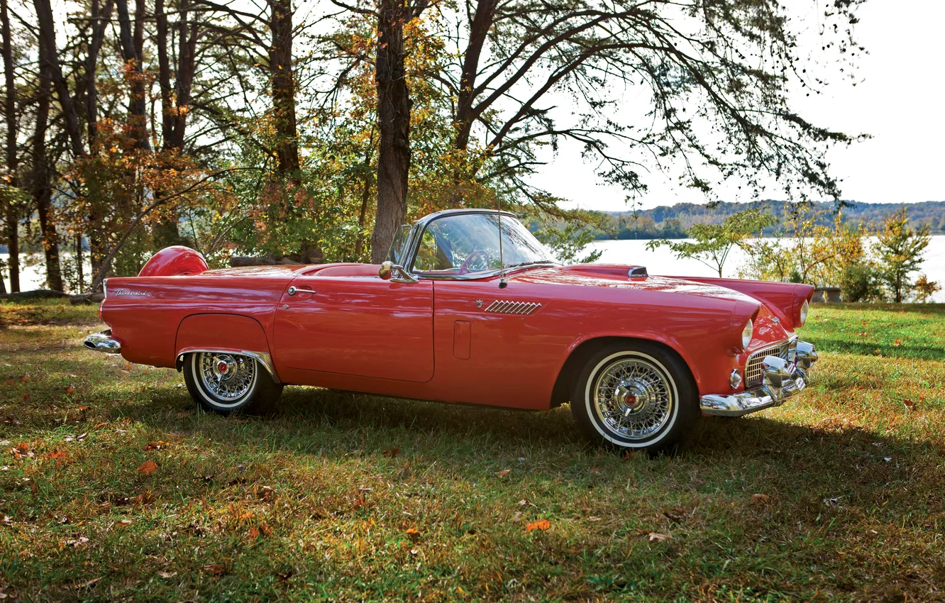 Фото обои Ford, Форд, 1965, ретро автомобили, Thunderbird, retro cars, Ford Thunderbird Convertible