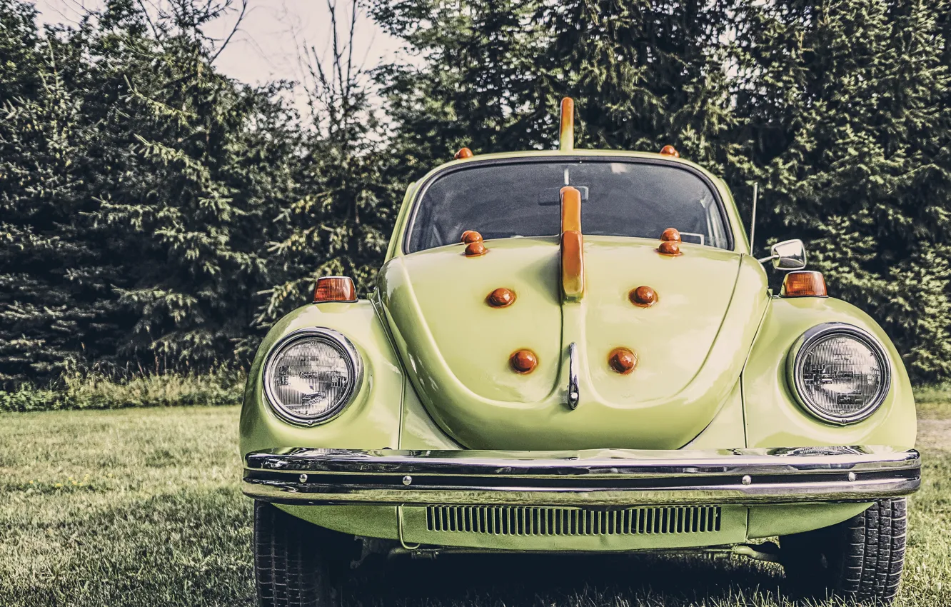 Фото обои машина, ретро, жук, автомобиль, oldschool, олдскул, volkswagen beetle, зеленый дракон