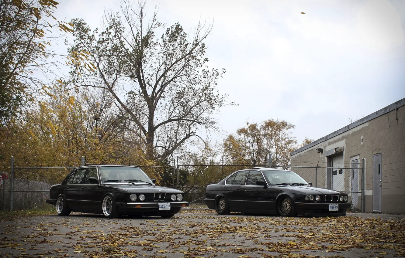 Фото обои осень, листья, тюнинг, бмв, BMW, диски, классика, tuning